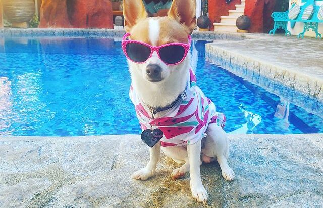 125942627_415082199494648_6328256978155426050_n