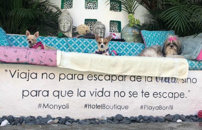 WhatsApp Image 2021-07-20 at 12.57.05