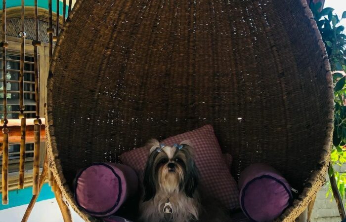 WhatsApp Image 2021-07-20 at 12.57.09