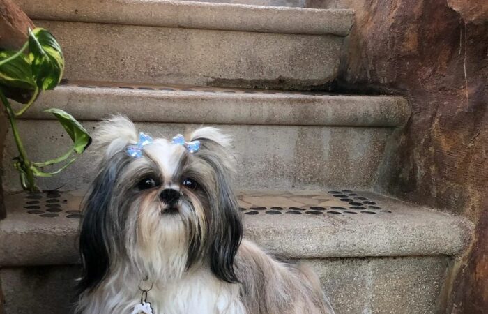 WhatsApp Image 2021-07-20 at 12.57.10