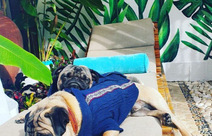 WhatsApp Image 2021-07-22 at 11.43.20